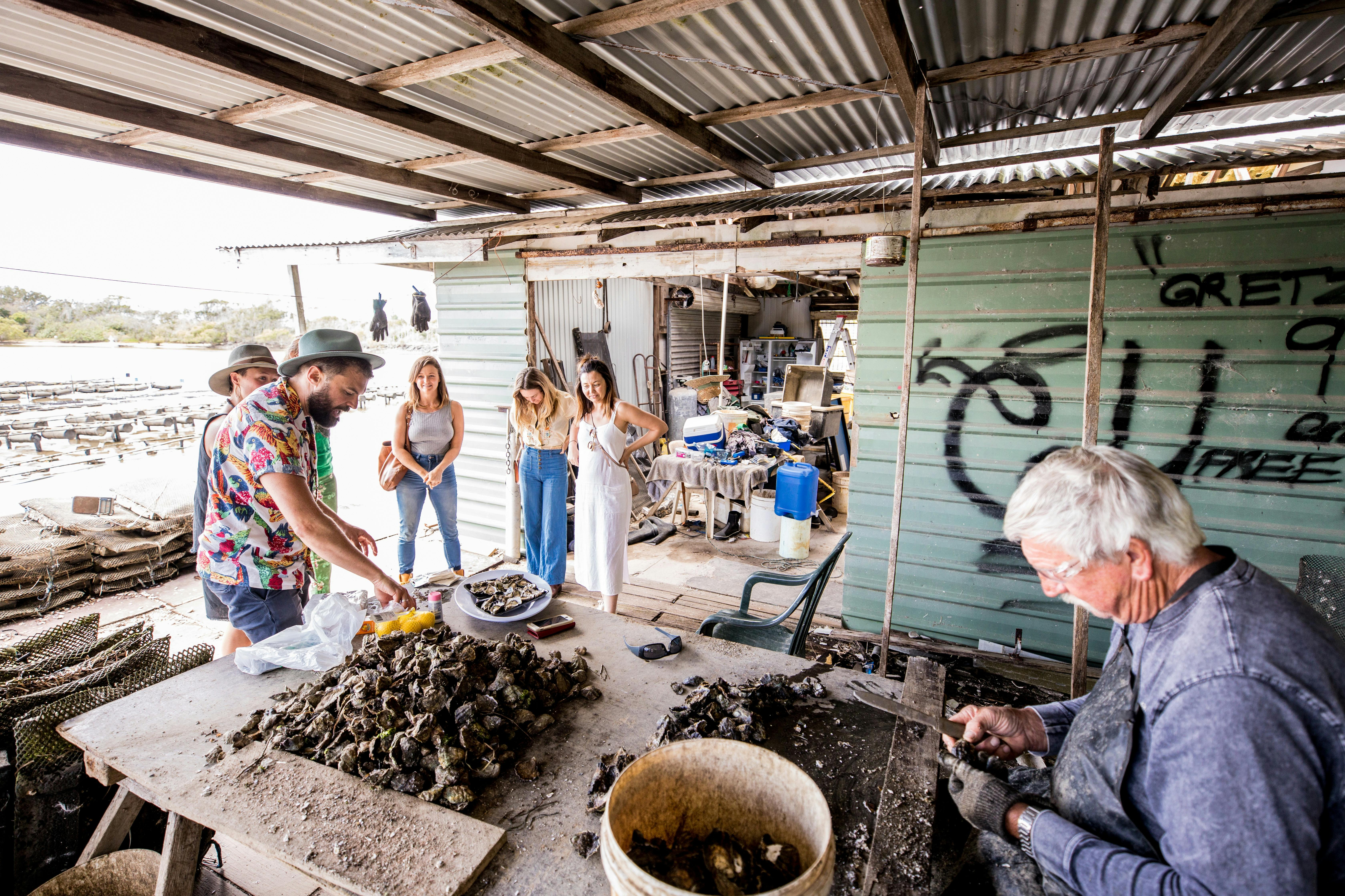 Localing guests visiting an oyster farm.