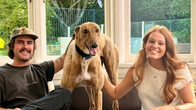 Adopt A Greyhound