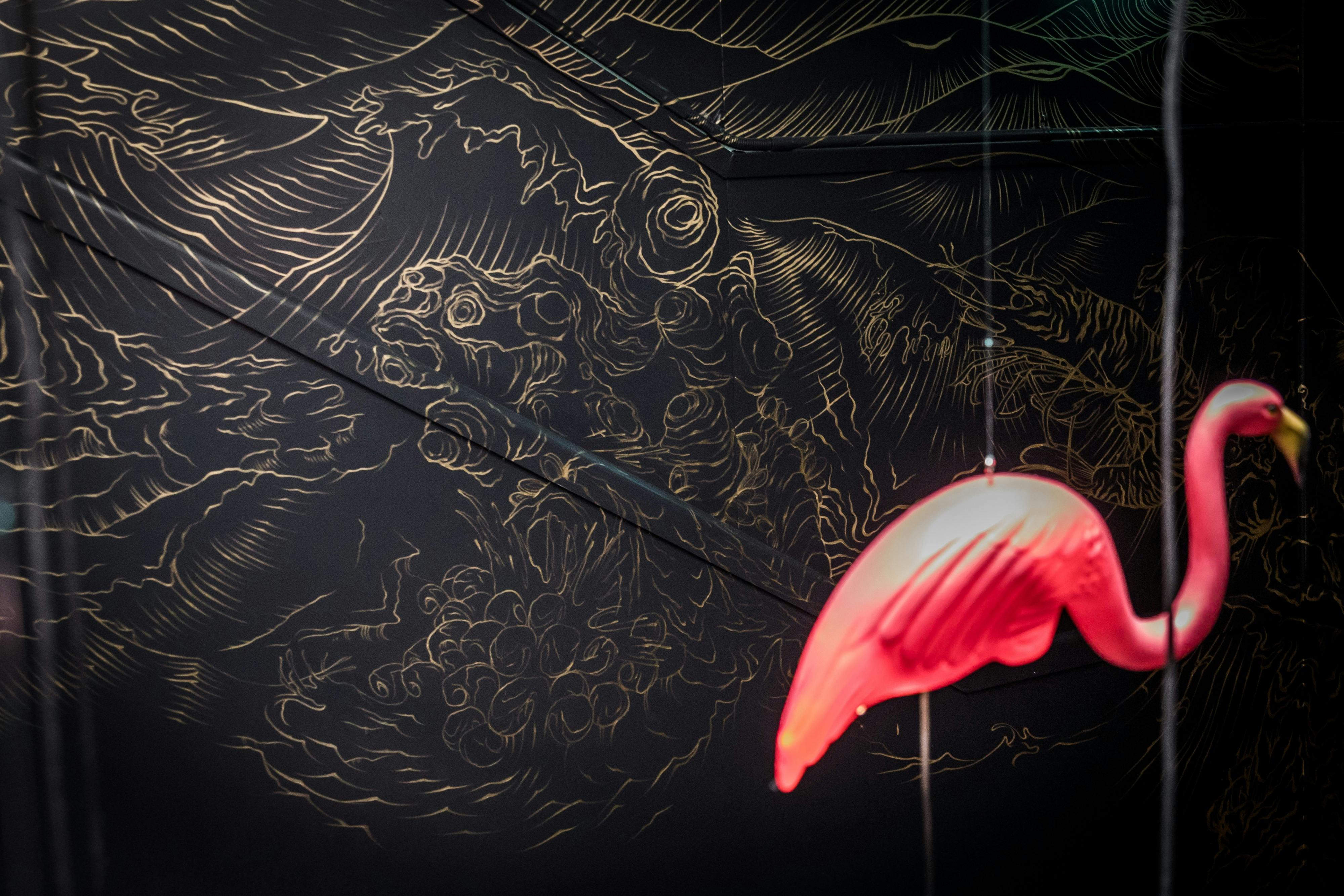 Follow the flamingos