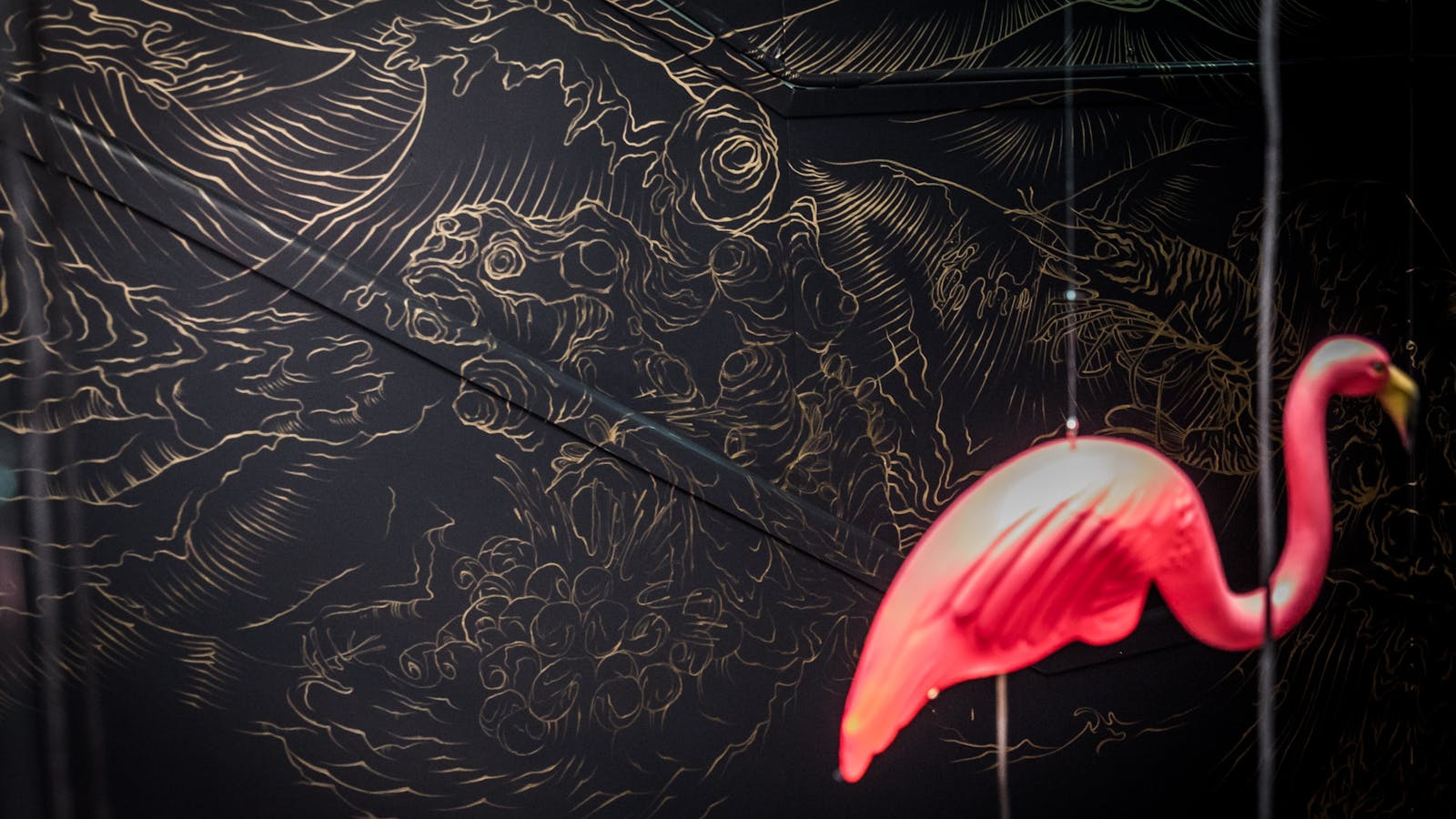 Follow the flamingos