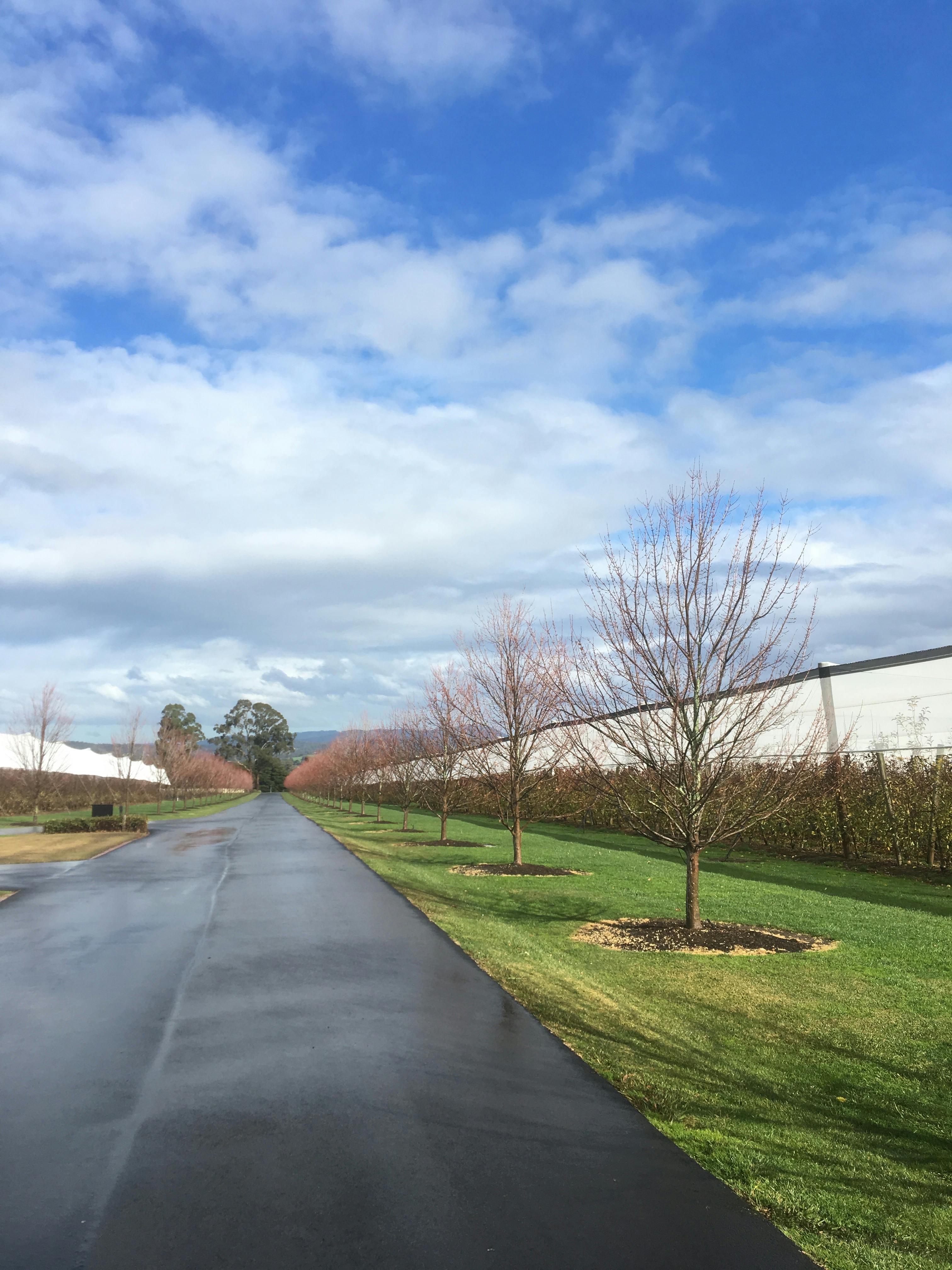 Entrance of a winery at the Yarra Valley