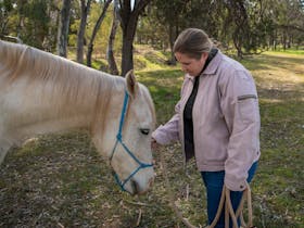 a gentle moment of connection between Sparky, a grey horse and a woman touching his face.