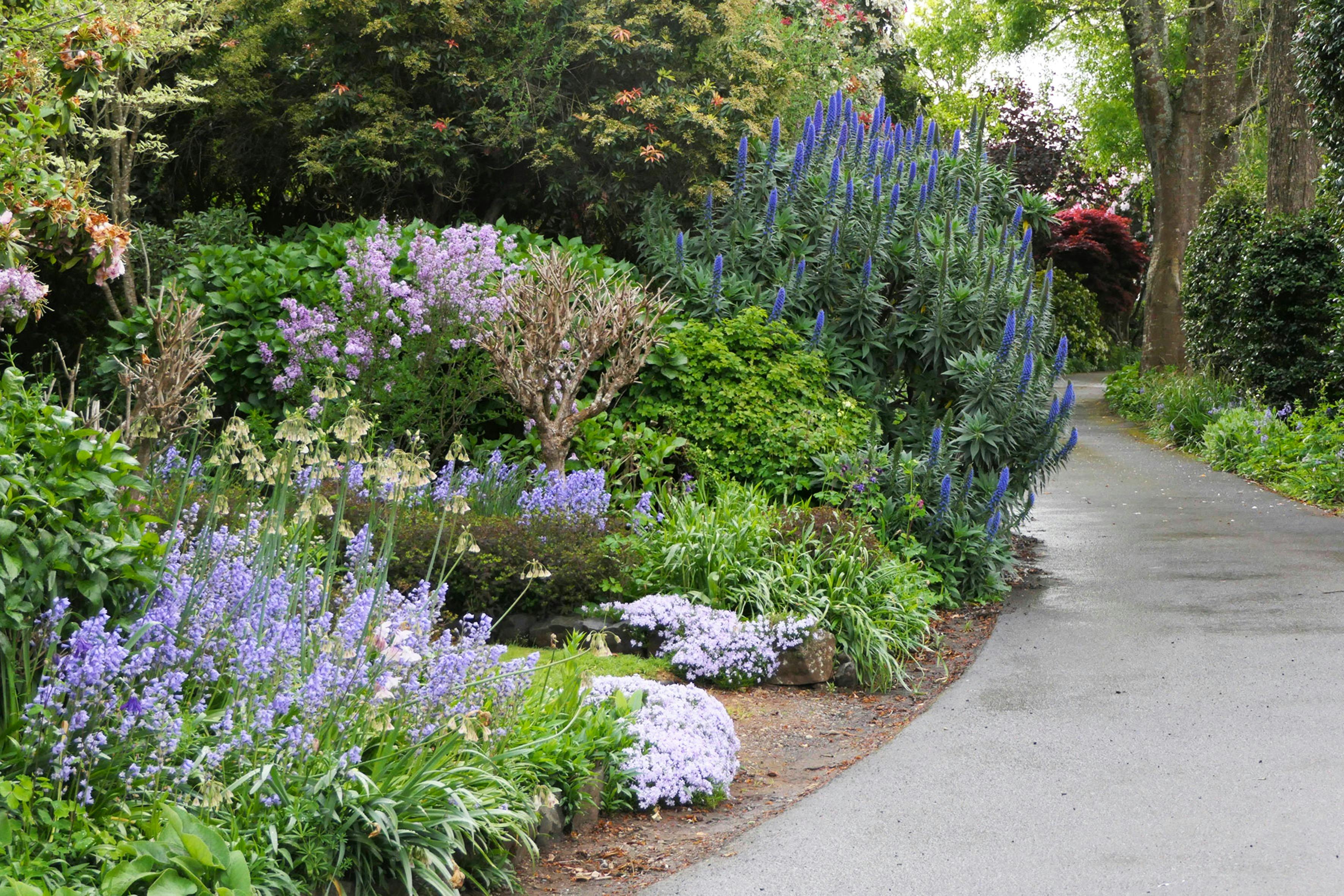 Open Gardens Victoria - Wensley Farm
