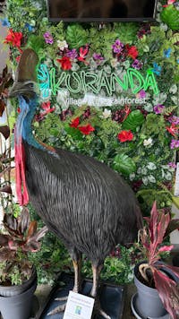 A cassowary statue in front of a green foliage wall with a Kuranda neon sign
