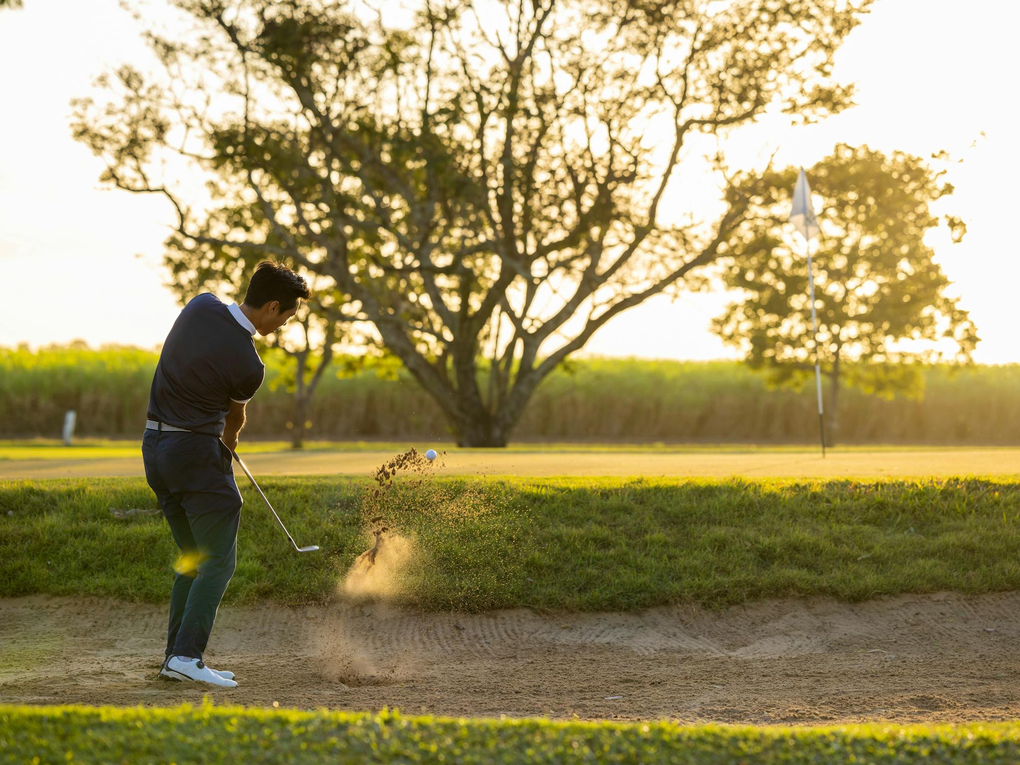 A golfer taking a shot from a sand bunker towards the green with a cane field in the background