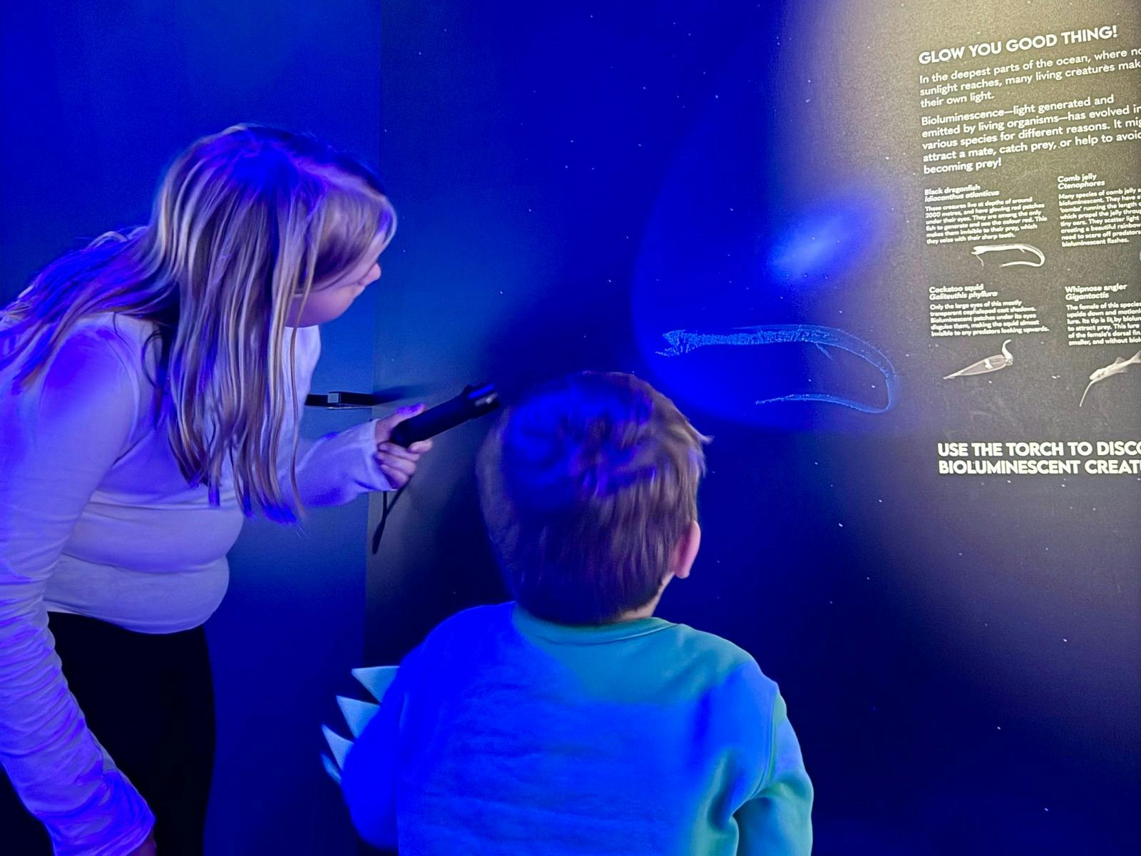 marine Discovery centre