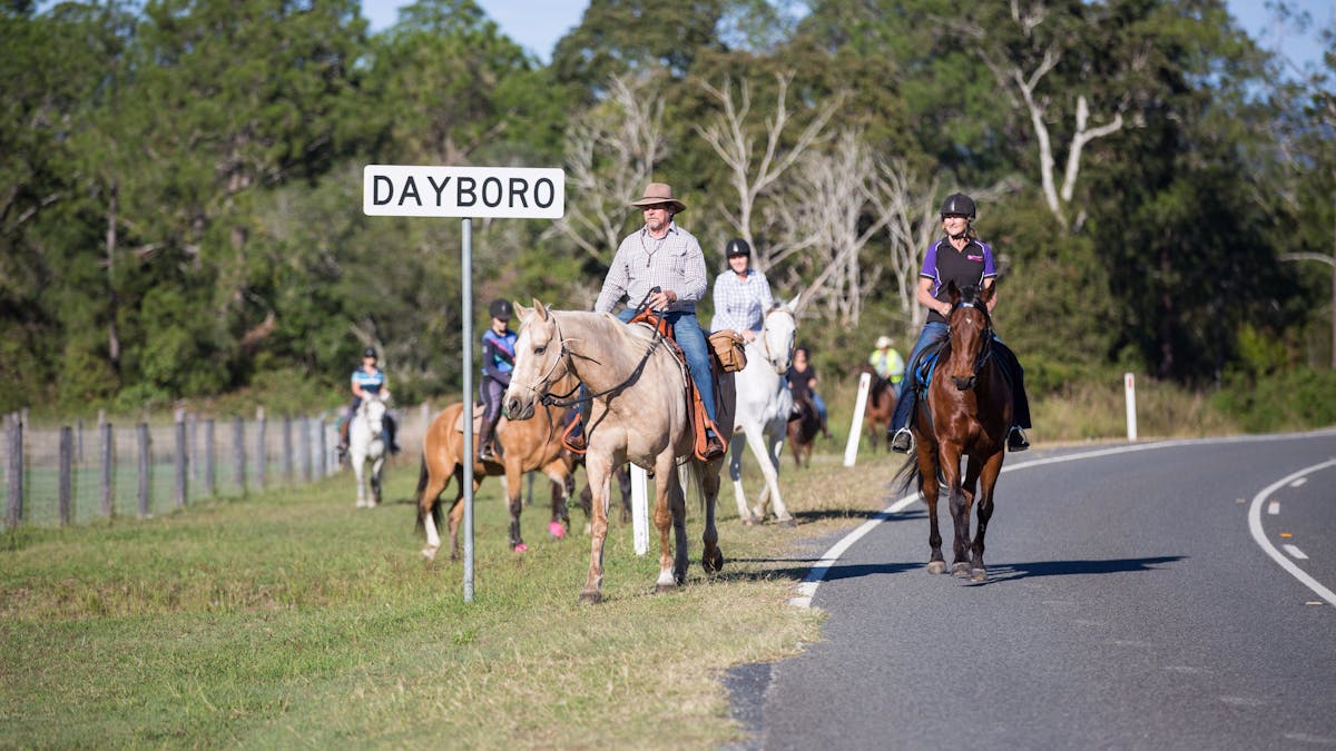 Dayboro Horse Riding Moreton Bay Region
