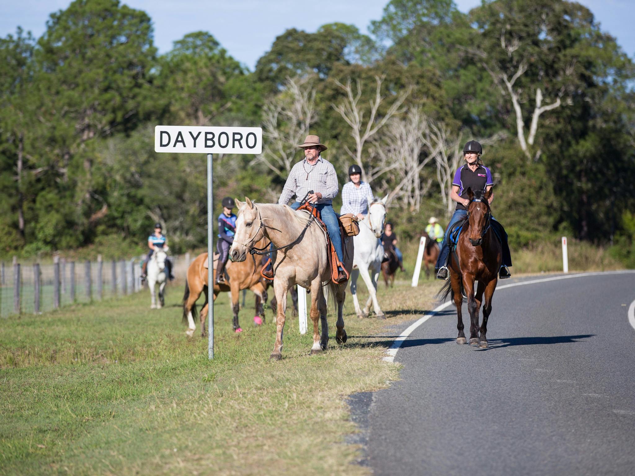 Dayboro Horse Riding Moreton Bay Region Dayboro Horse Riding Moreton Bay Region