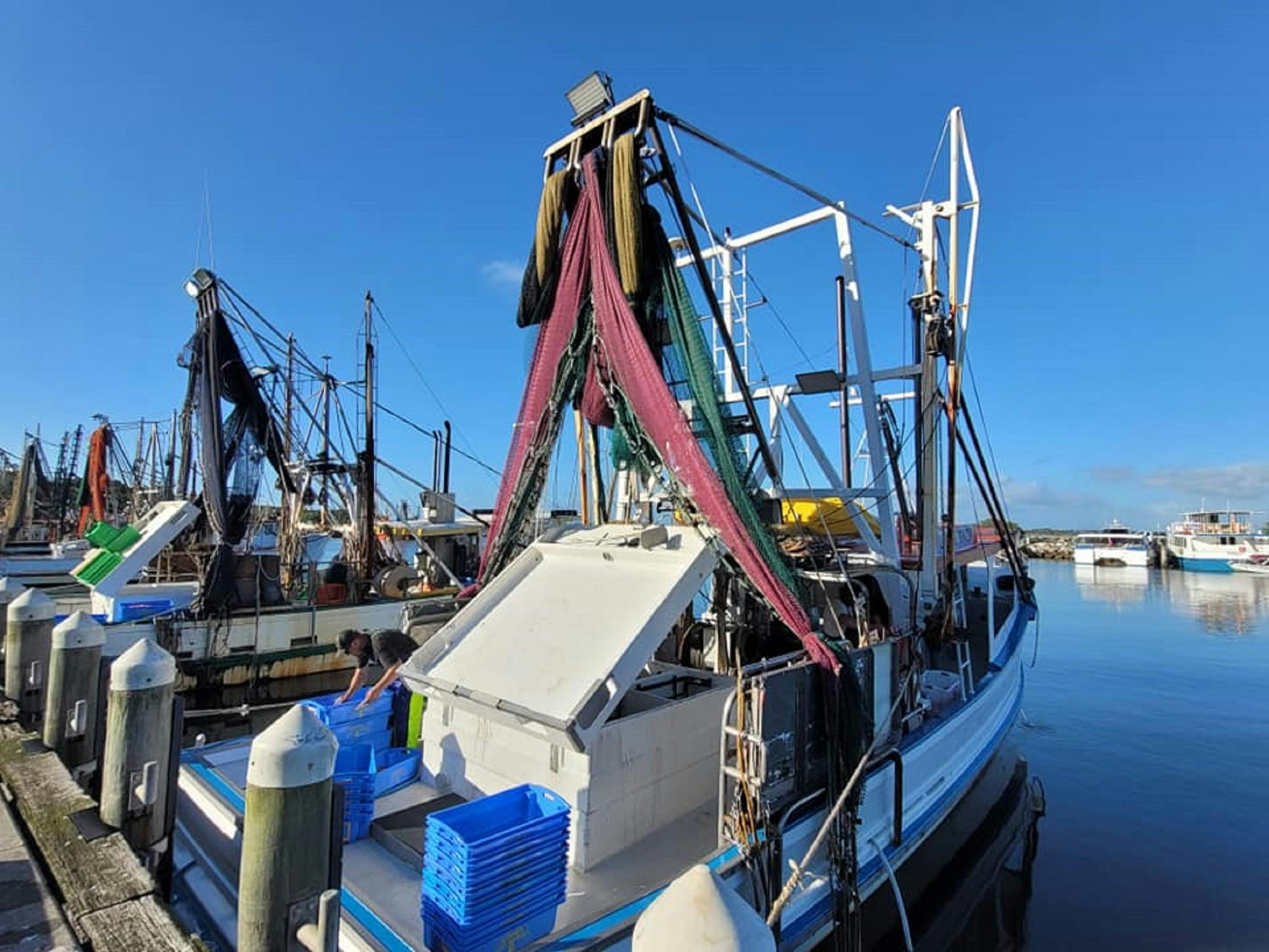 克拉伦斯河麦克林渔民合作社