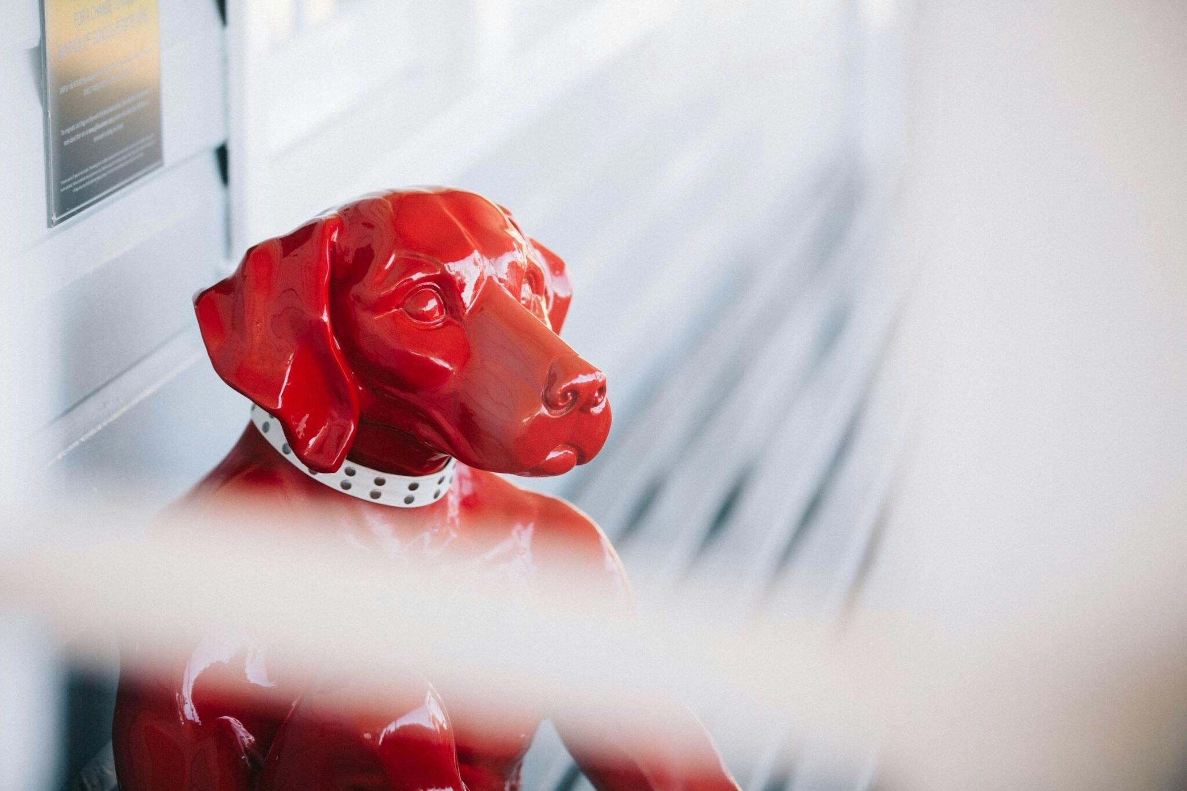 Gundog Estate Hunter 酒窖和美食食品儲藏室