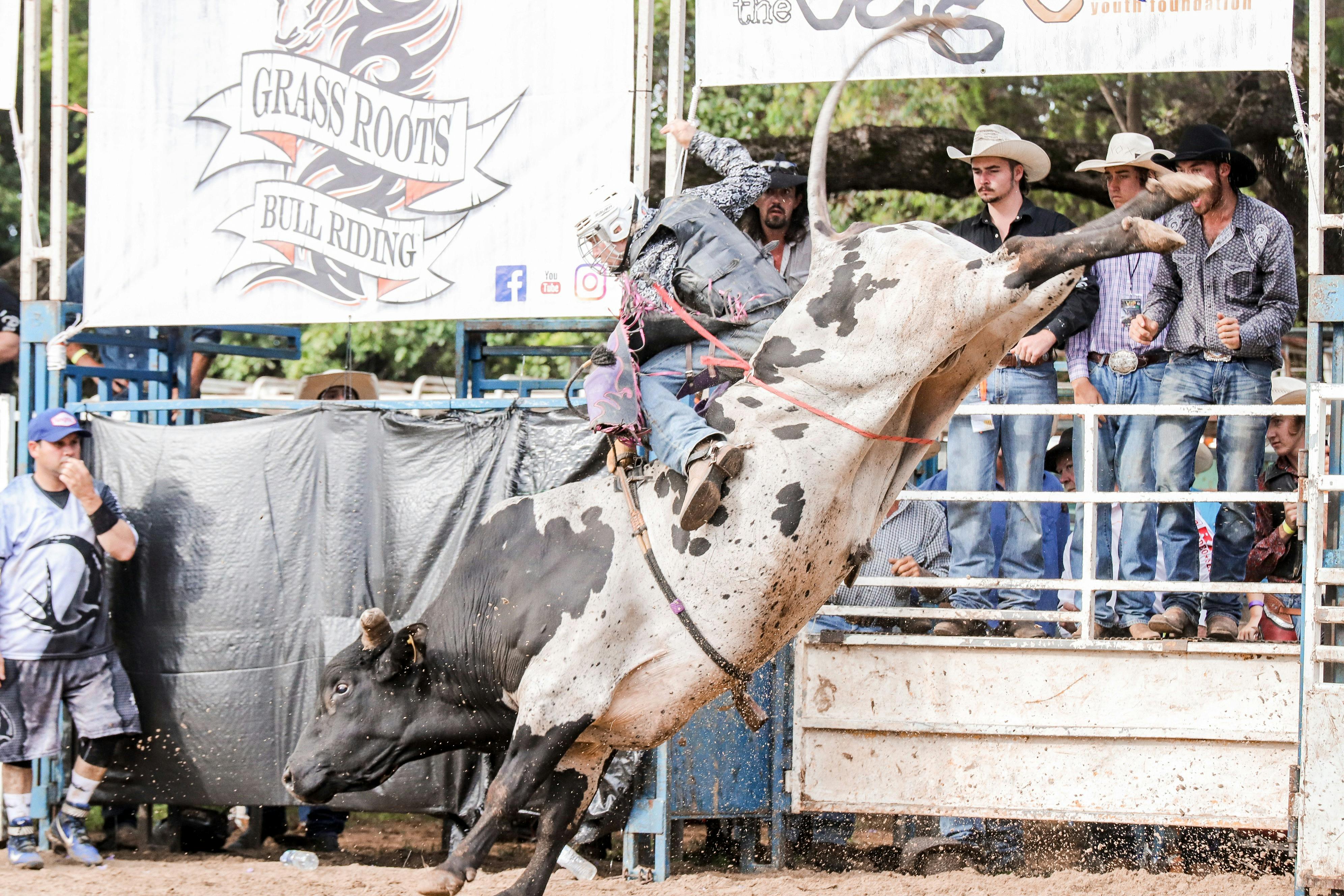 Redlands Grass Roots Bull Ride