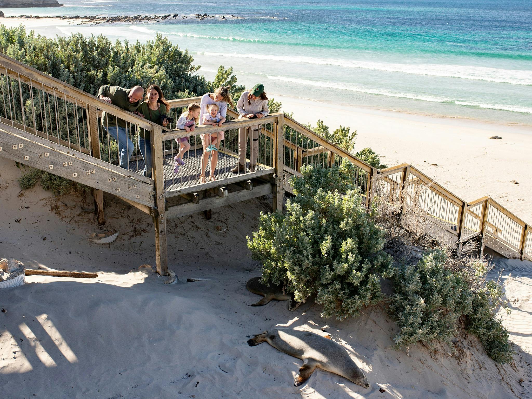 A family looks at a sleeping sea lion from a boardwalk