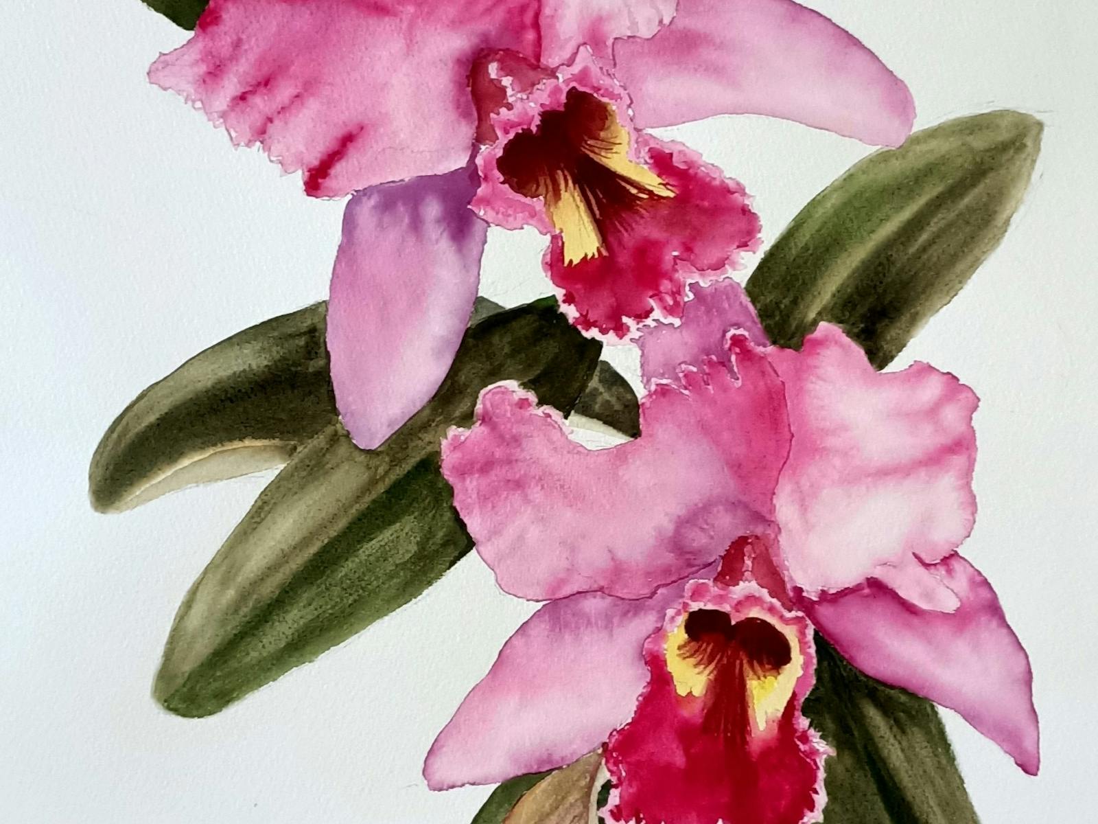 Watercolour Painting Watercolour Painting