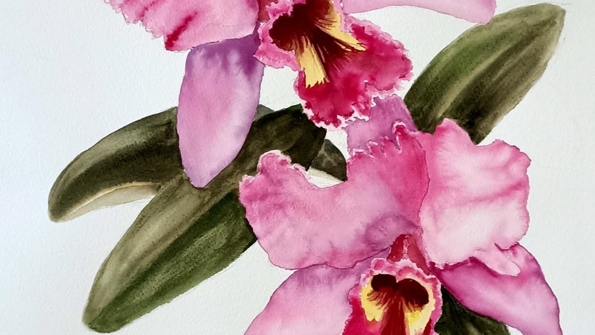 Watercolour Painting
