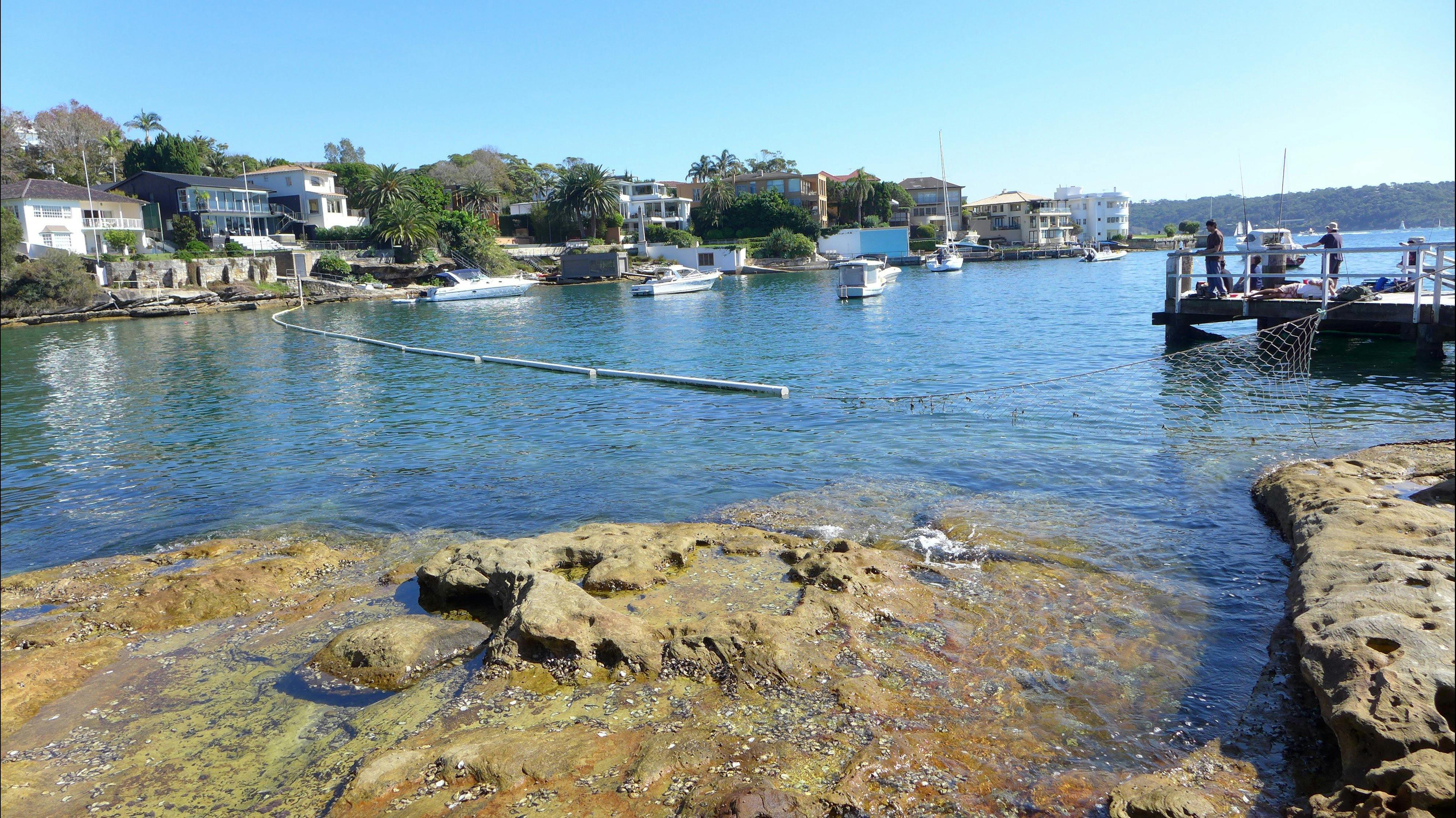 風景如畫的蛇網池