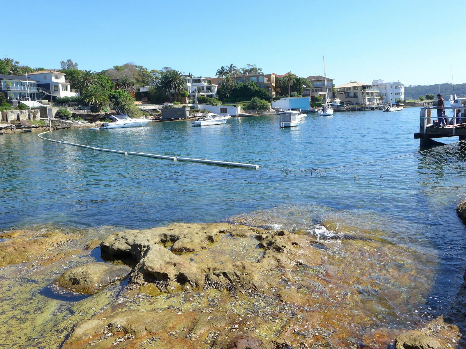 picturesque snark netted pool