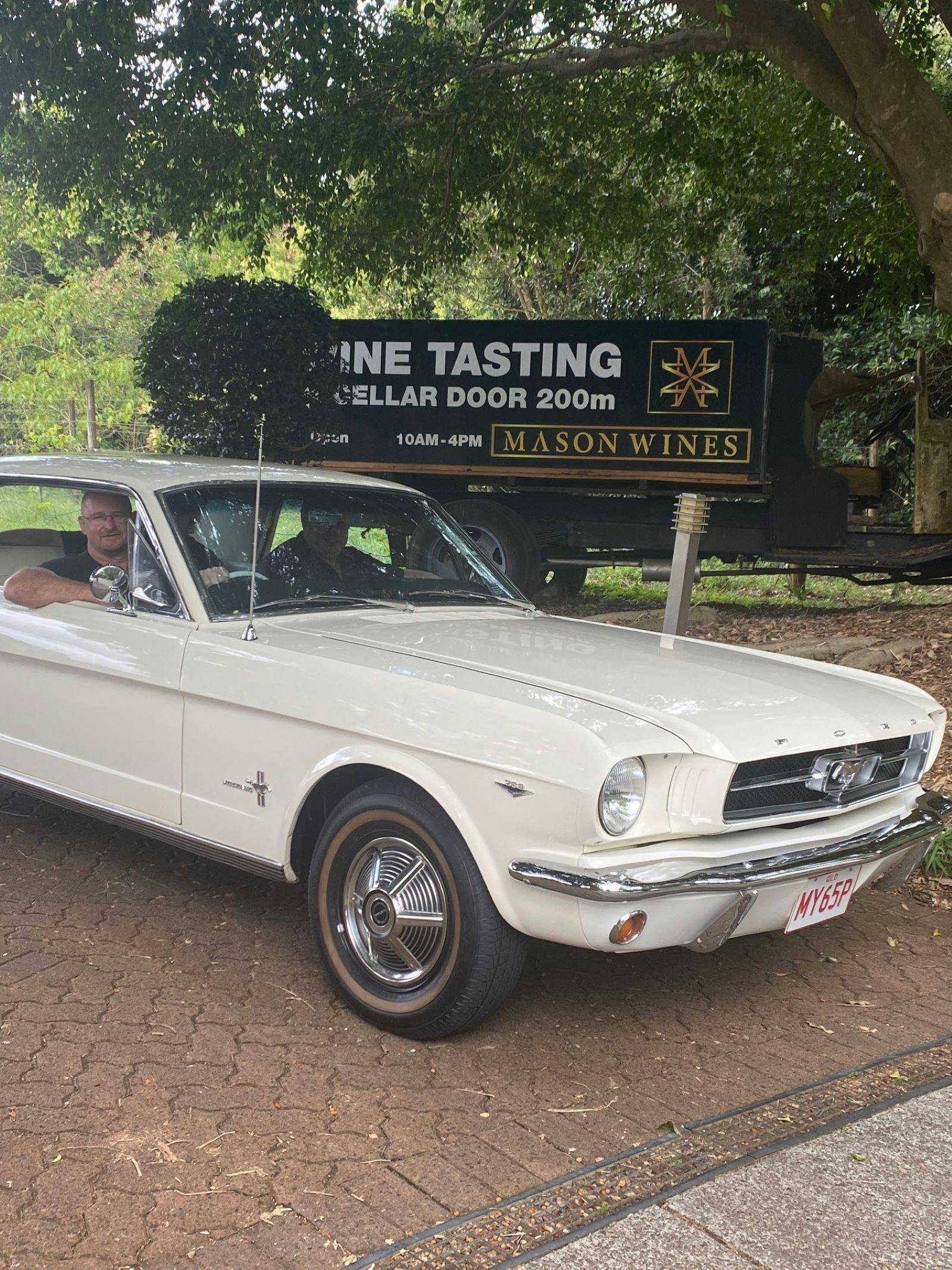 Winery cruise is a mustang