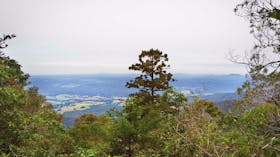 Slingsbys Trail and Syndicate Ridge Track
