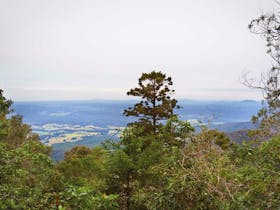 Slingsbys Trail and Syndicate Ridge Track