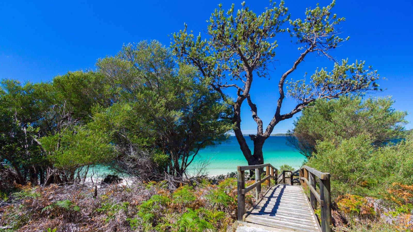 Iluka Beach