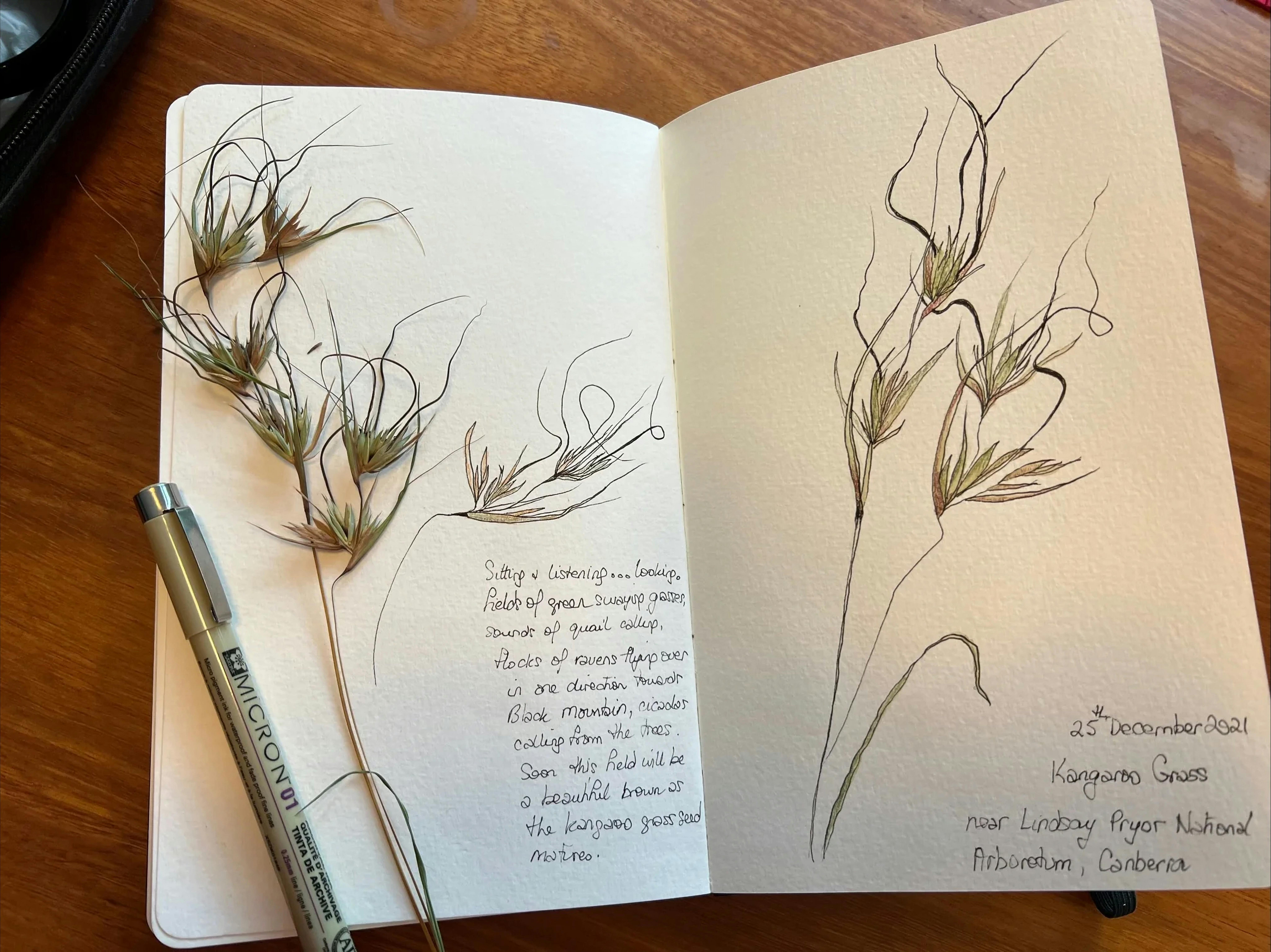 NatureArt Lab