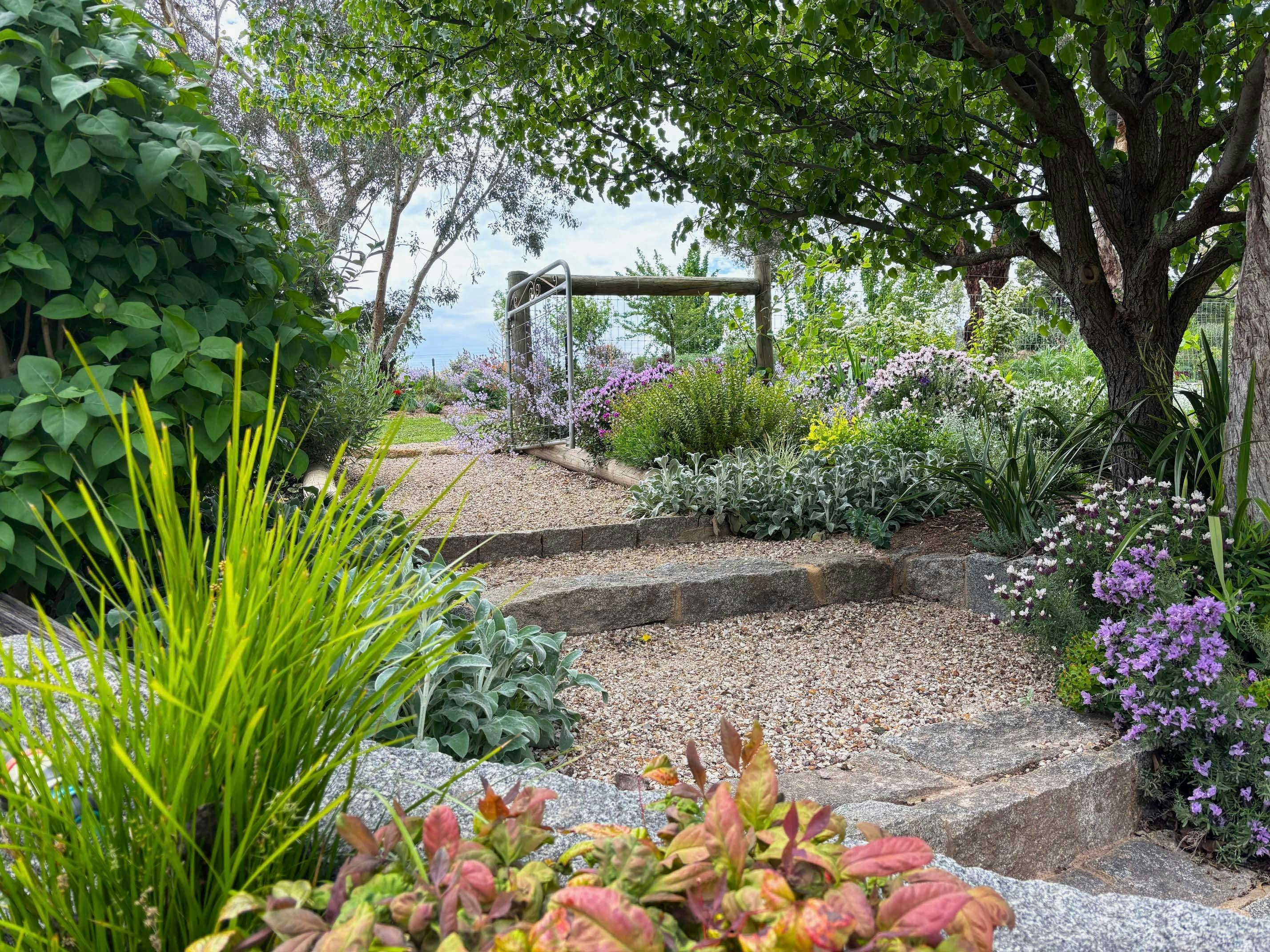 Open Gardens Victoria - Granite Garden, path and steps