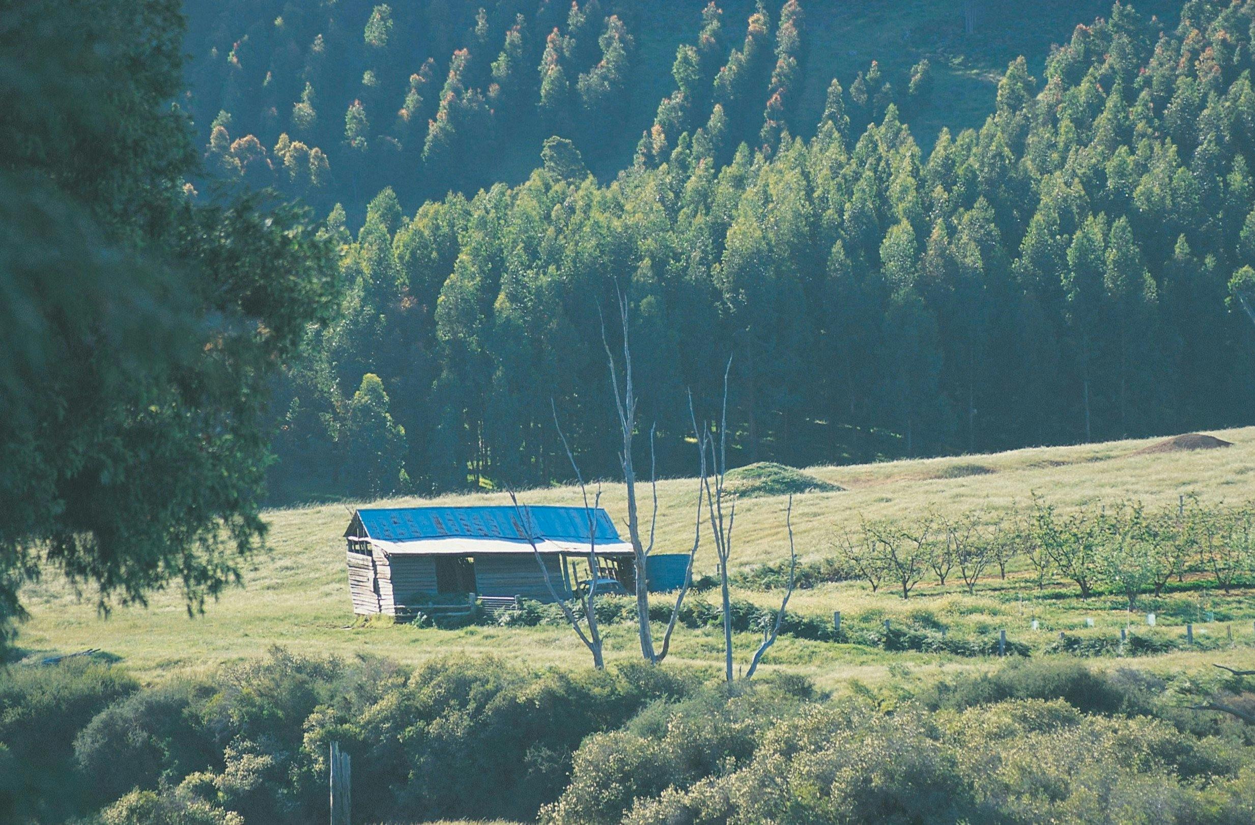 Blackwood River Valley Food and Beverage Trail, Balingup, Western Australia