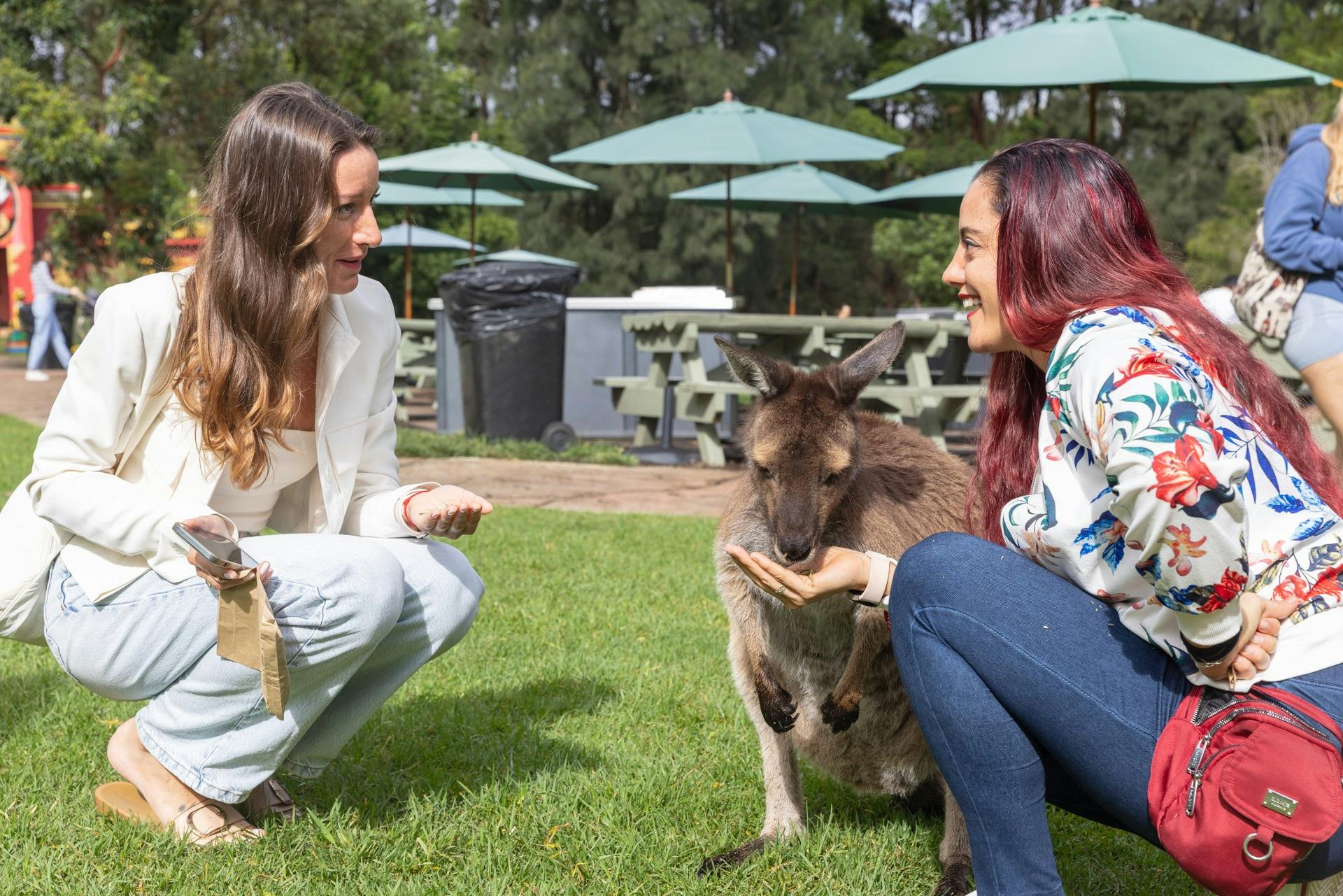 オーストラリア爬虫類公園
