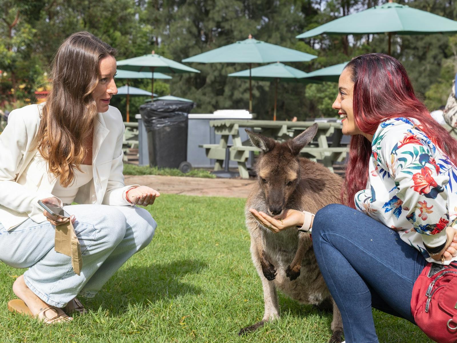 Australian Reptile Park