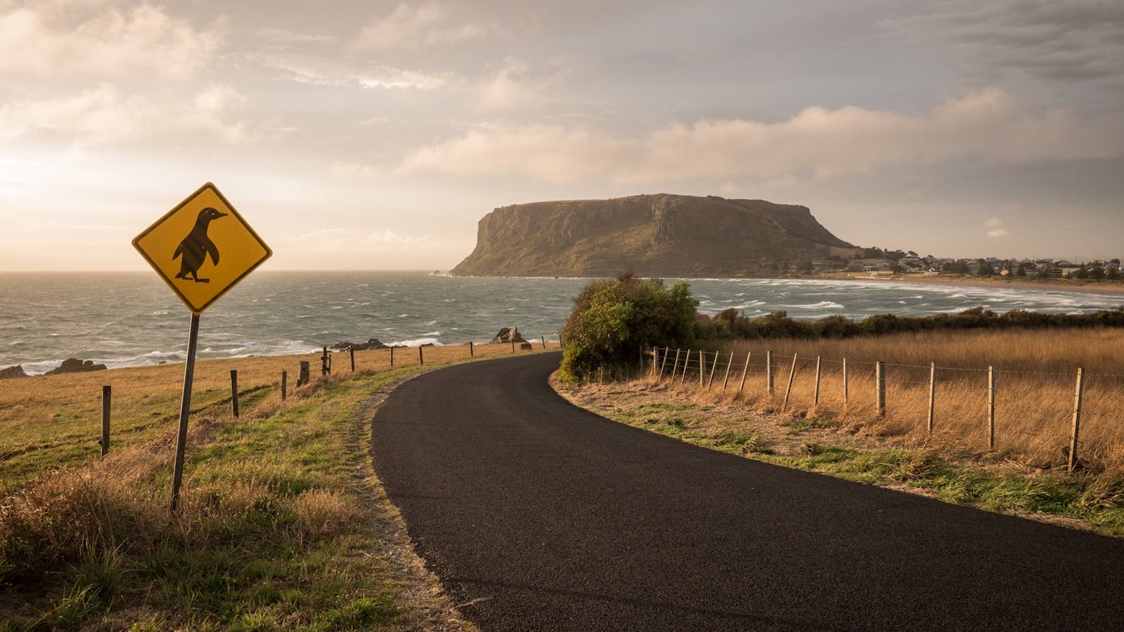 Rugged sea cliffs and glowing white-sand beaches - enjoy them all on a Lap of Tasmania road trip