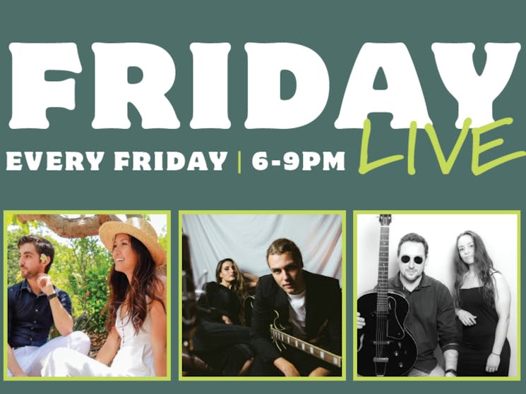Friday Night Live Music on the Green