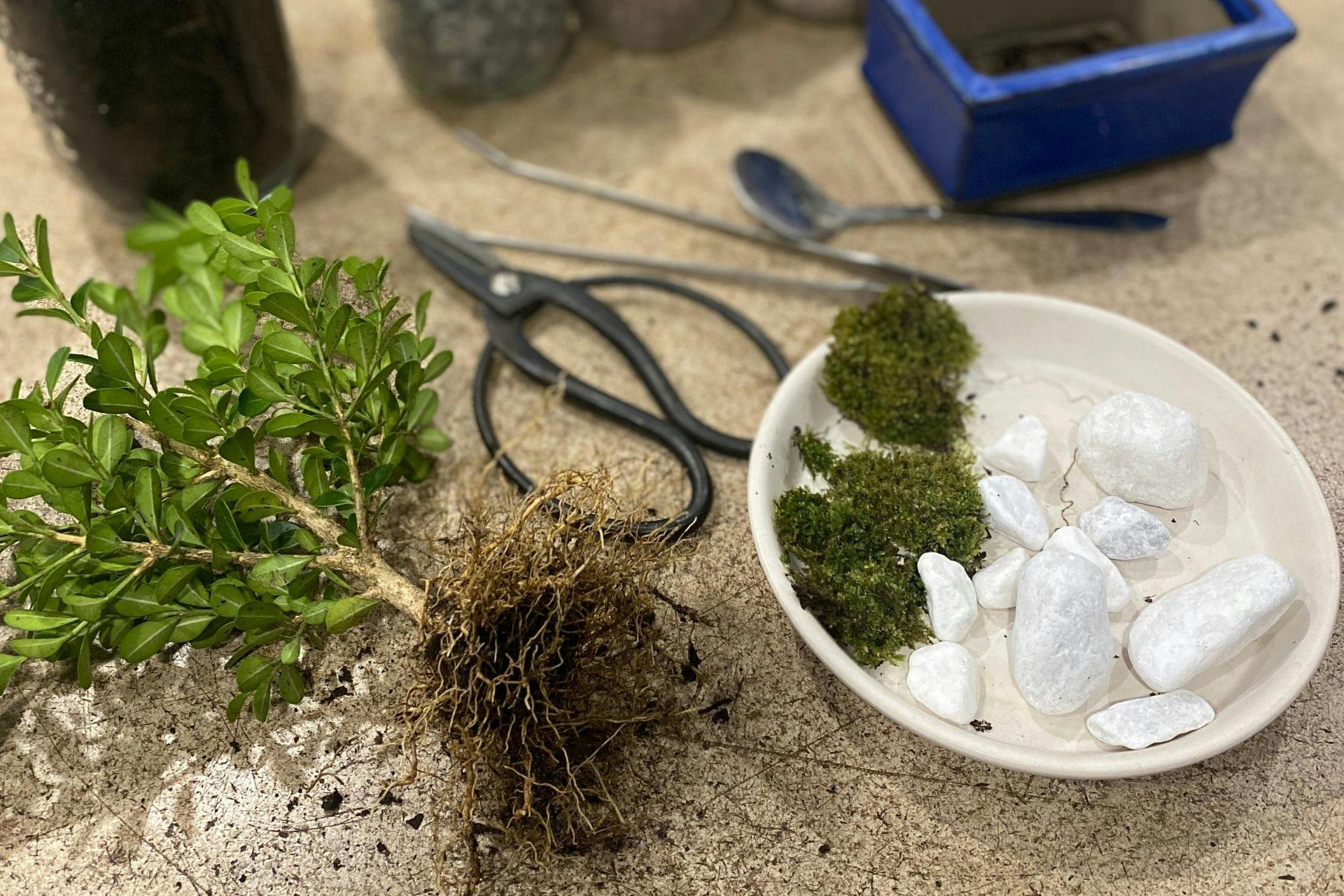 Micro-penjing garden workshop