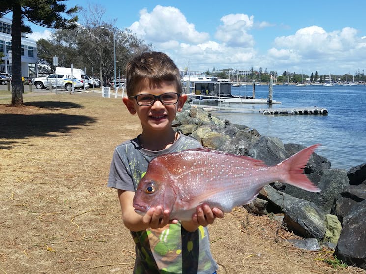 Fish Port Macquarie fishing charters snapper