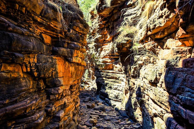 6-Day Eyre Peninsula & Flinders Ranges Adventure Tour - Swag Camping Eco Adventure