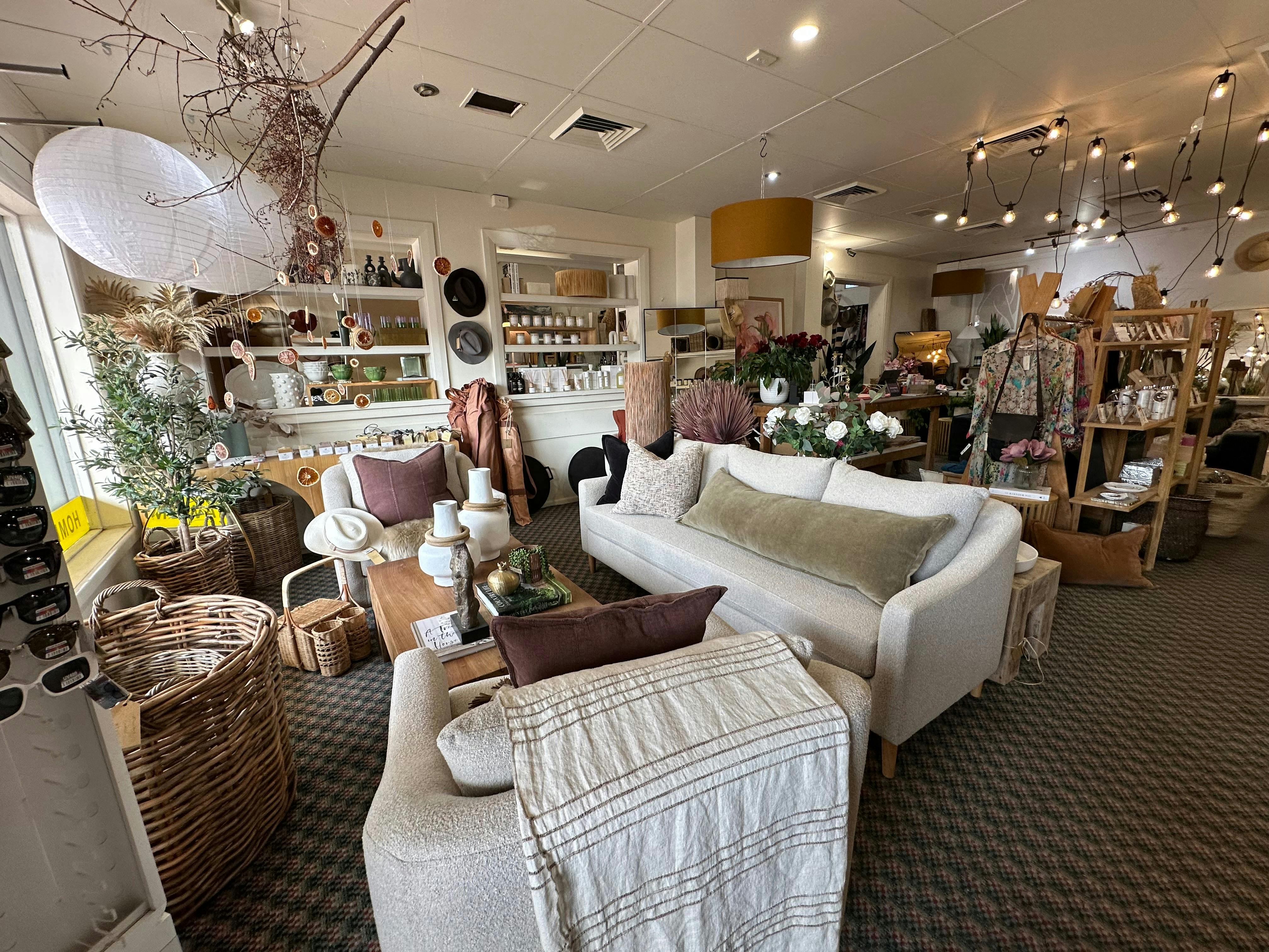 Painted Daisies Forbes