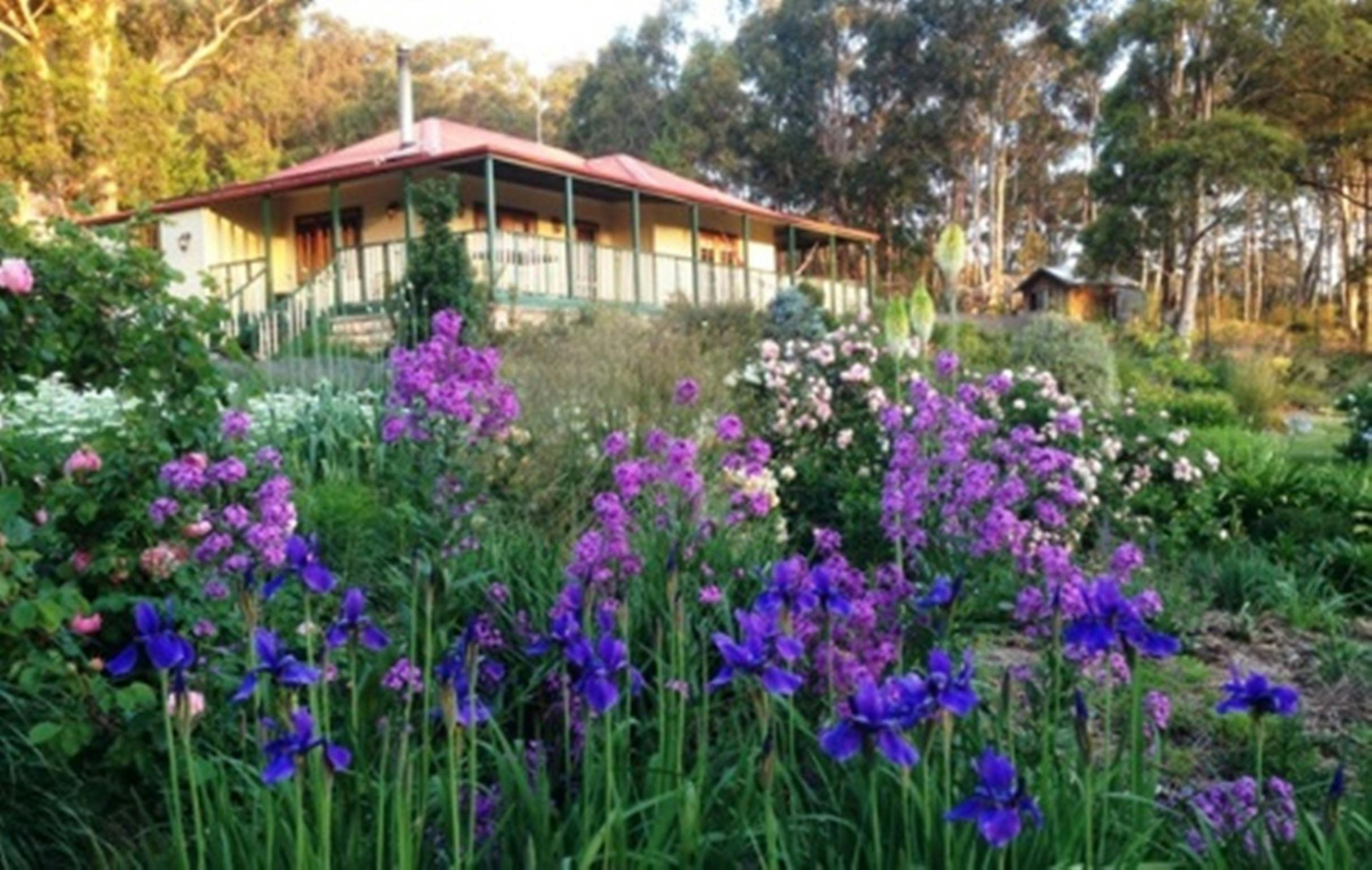 Flowers at Wild Meadows Garden with house in background