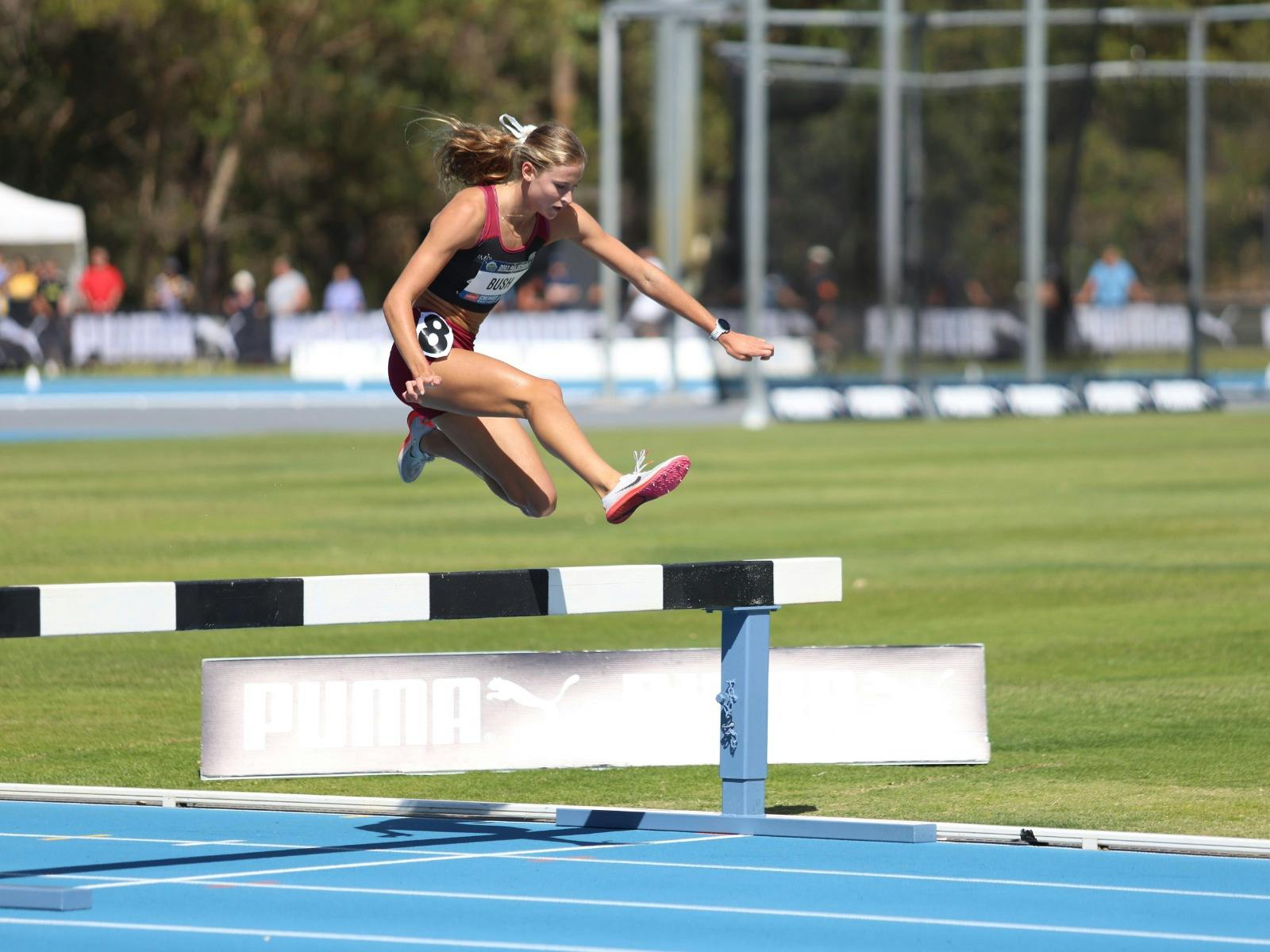 Chemist Warehouse Australian All Schools Athletics Championships