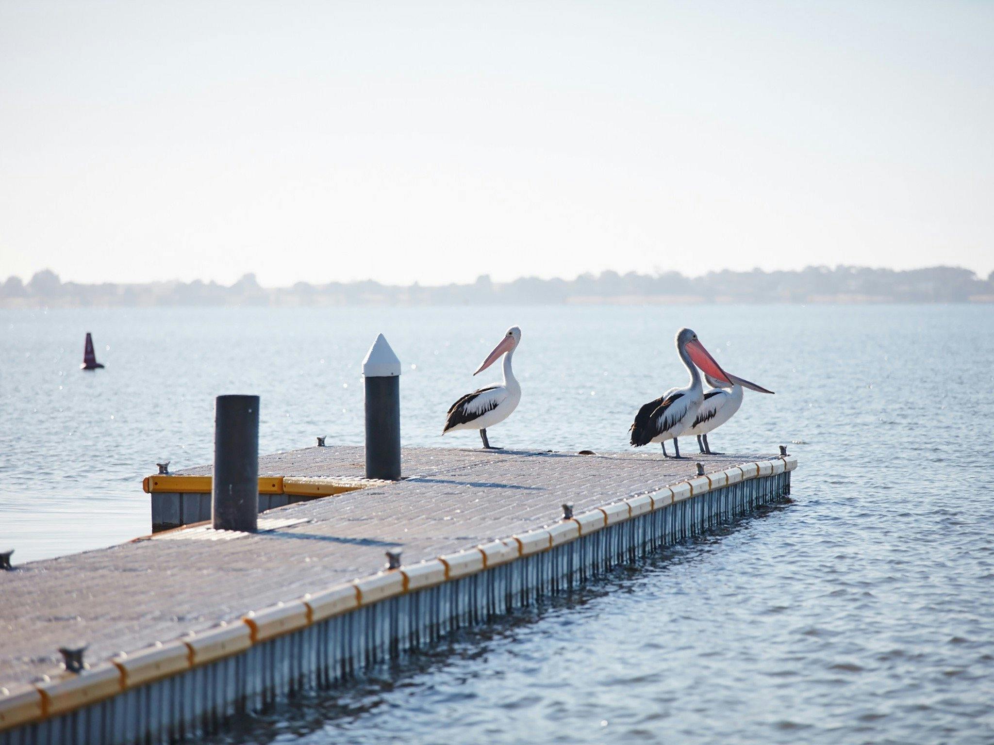 Lake Boga
