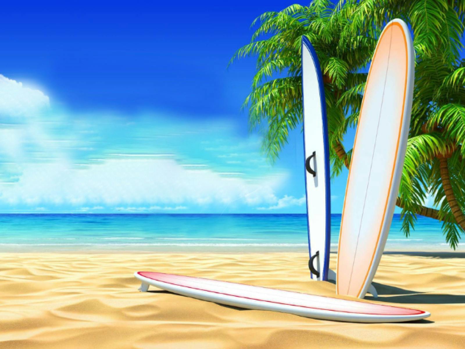 The Beach Boy Experience