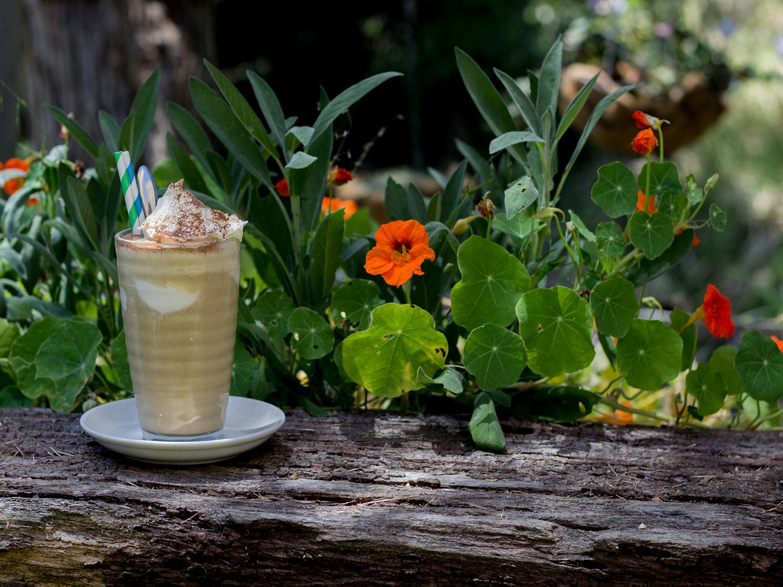 Inman Valley Store Iced Coffee