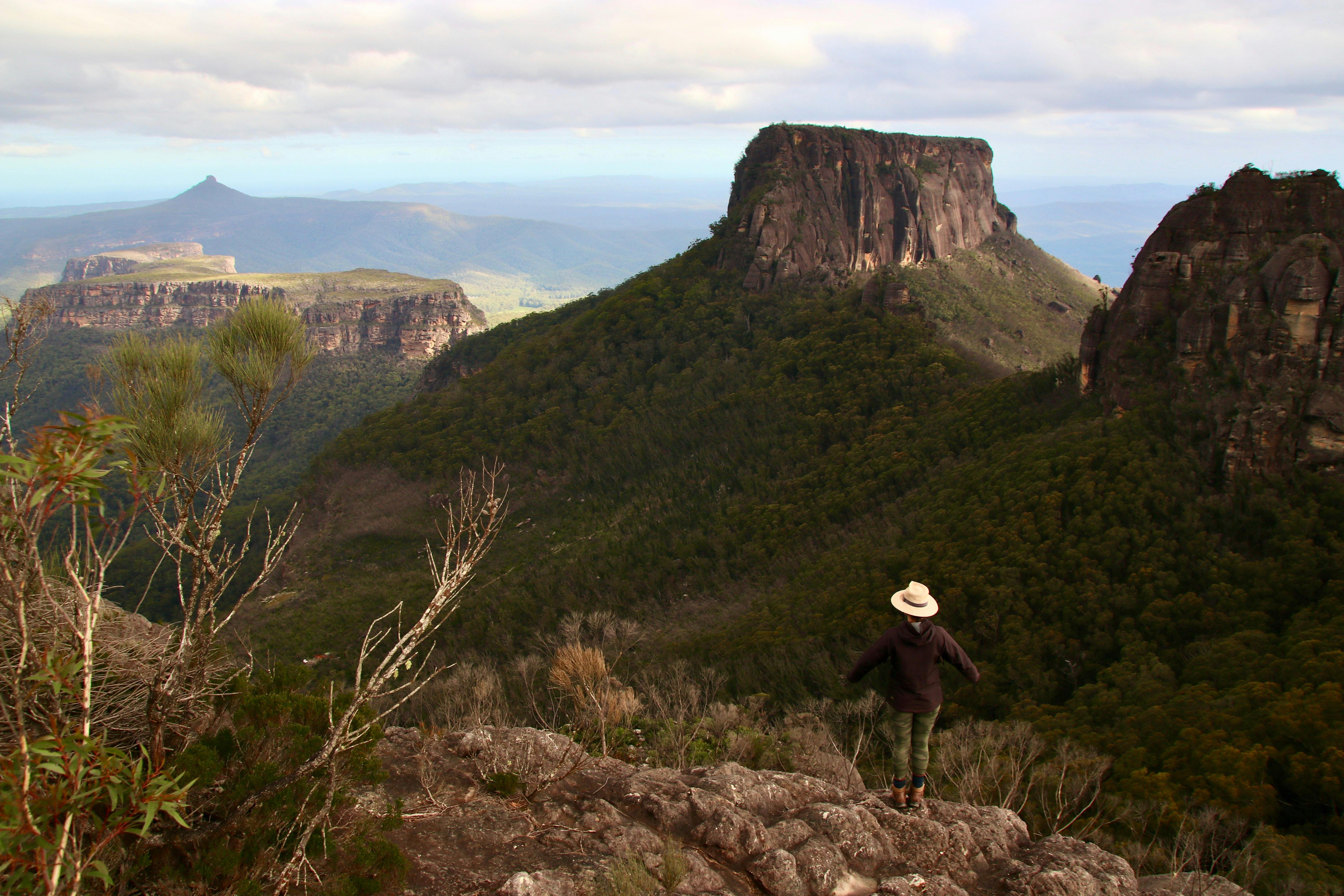 The Budawangs