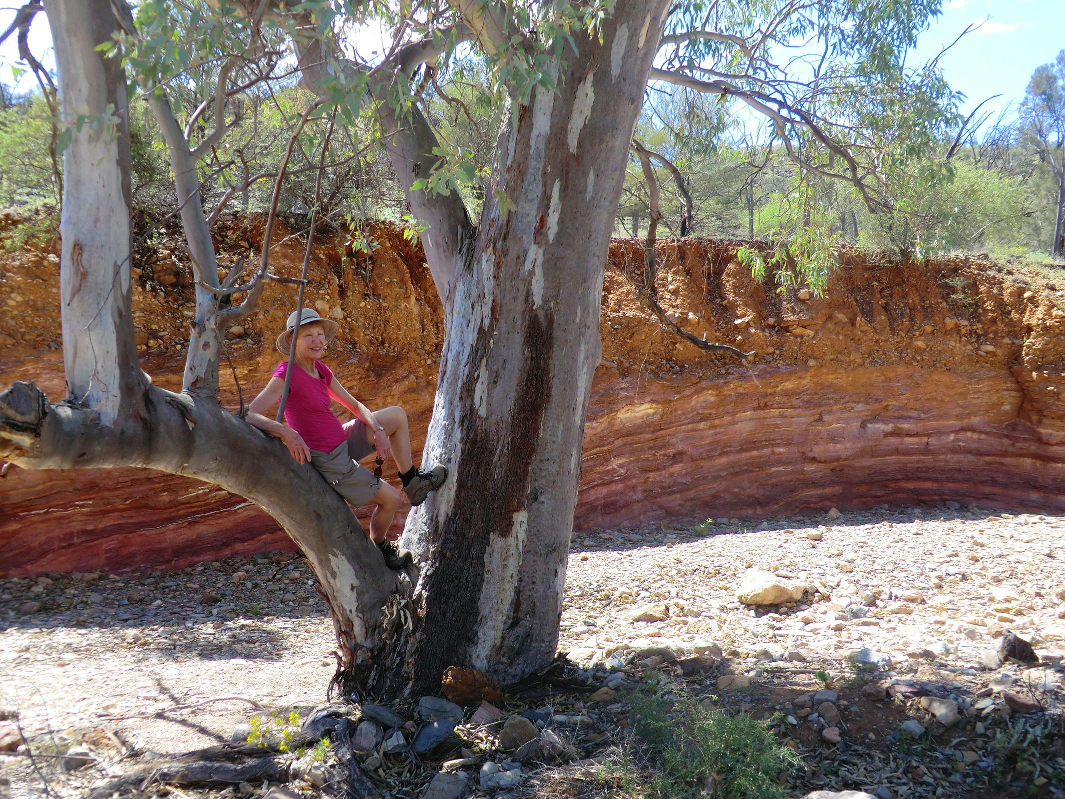 Visit the Ochre Wall at Arkaroola on the 7 day tours