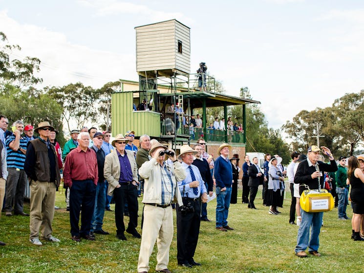 Spectators 2015 Jockey Club Race