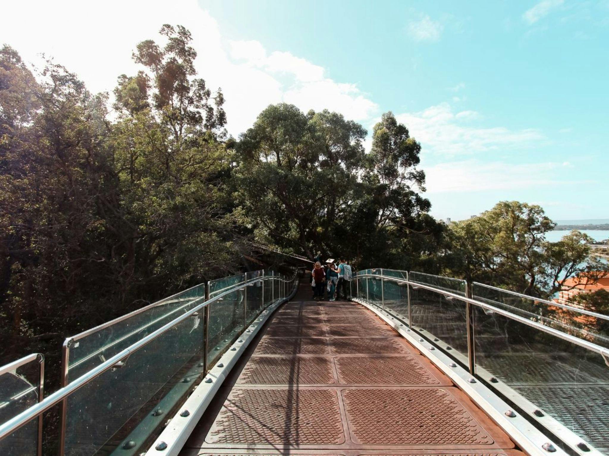 Kings Park Botanicals and Beyond Guided Hike