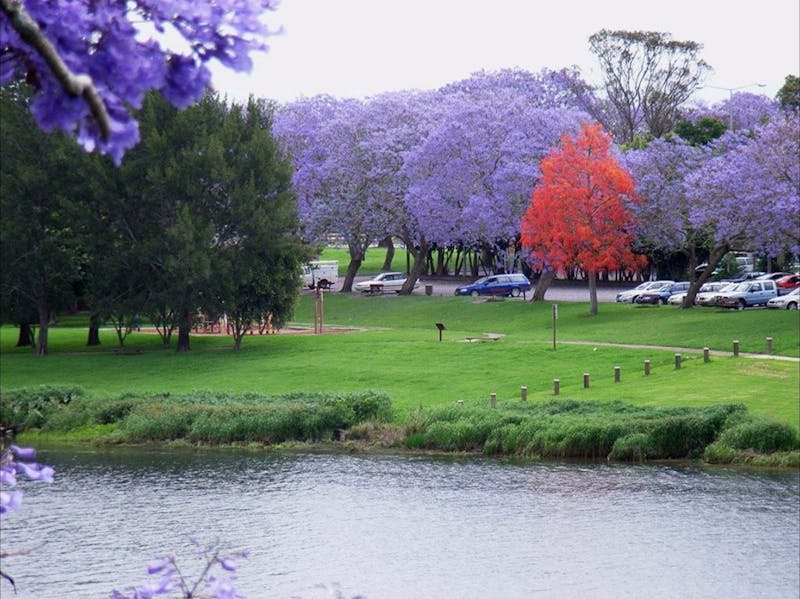 Kempsey Riverside Market NSW Holidays & Things to Do