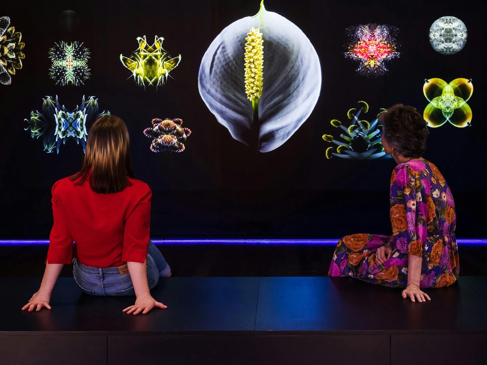 Rearranged: Art of the Flower