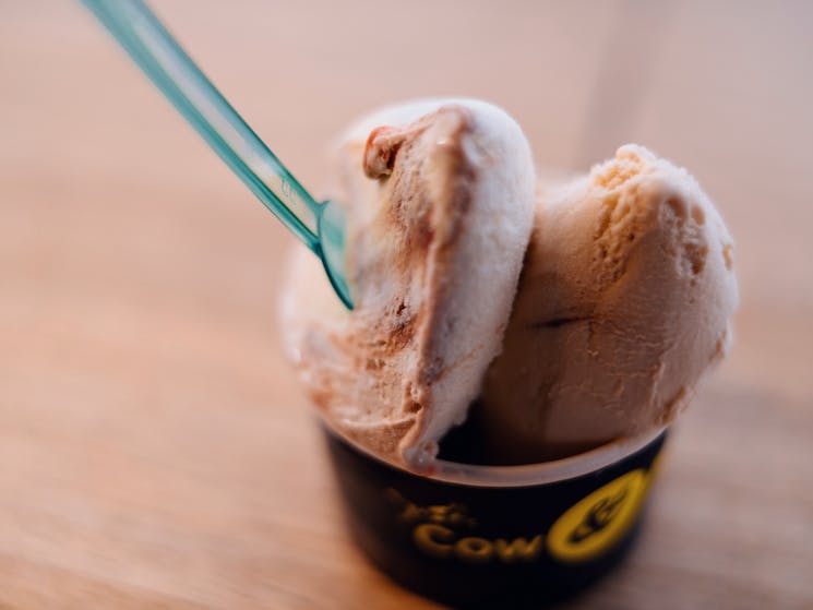 Cow and The Moon artisan gelato on Enmore Road, Enmore