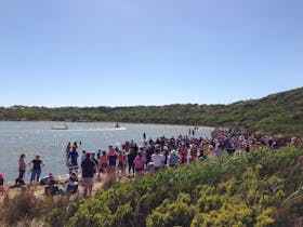 Duck Race Pool of Siloam