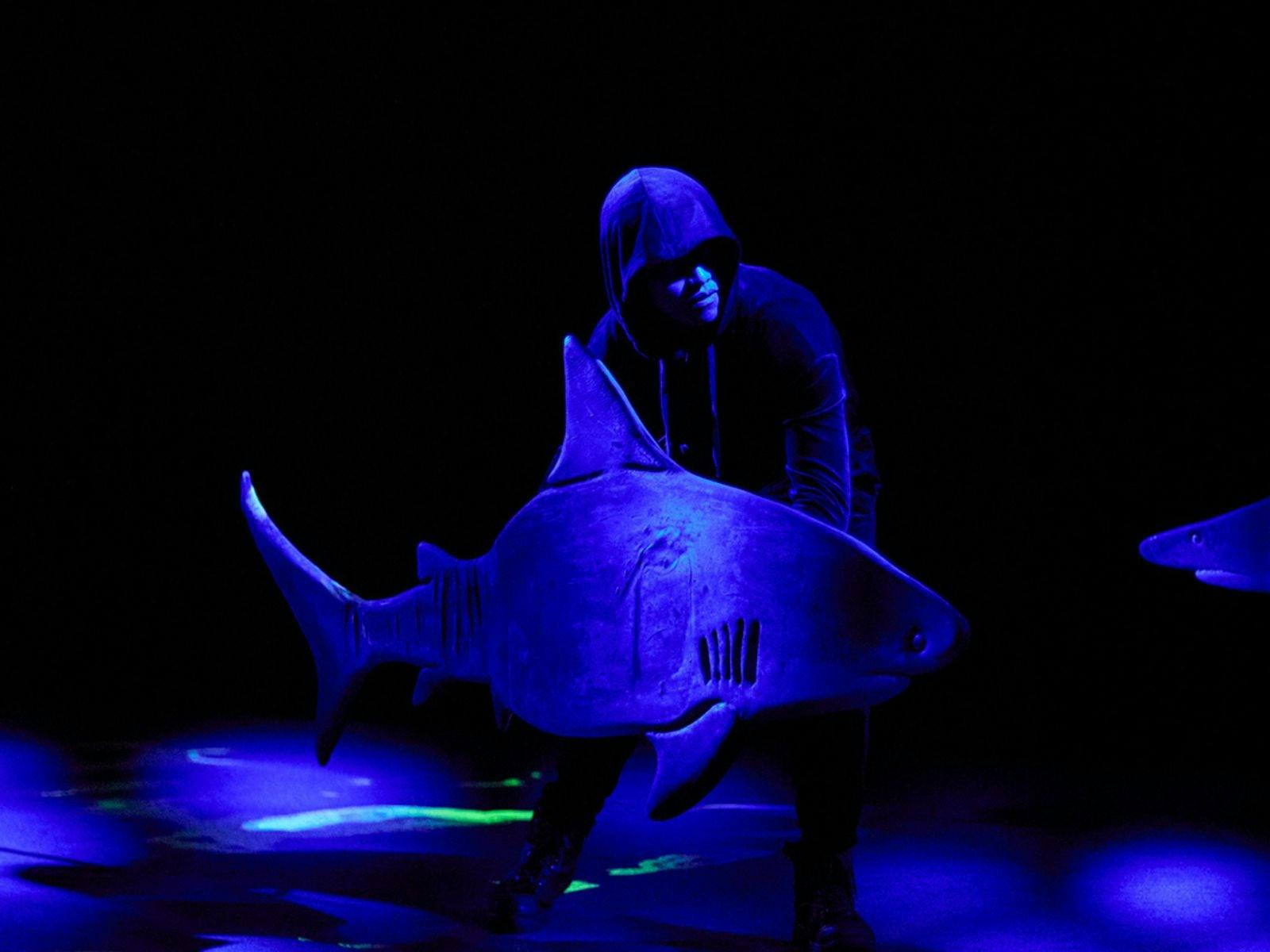 Shark Dive ATDW alt