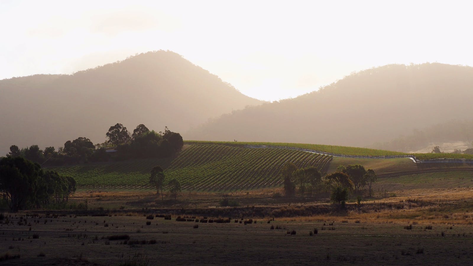 Mount Langi Ghiran